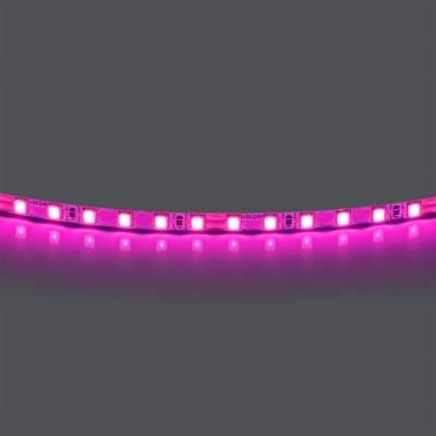 Лента цветного свечения 24V, розовый 420512