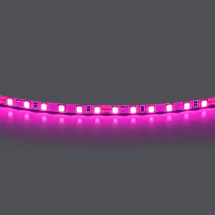 Лента цветного свечения 24V, розовый 420512