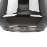 Подвес Forma Lightstar 808028