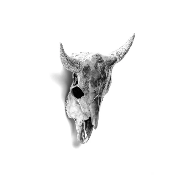 Статуэтка Seletti Wunderkammer Bison Skull 10899