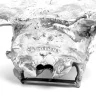 Статуэтка Seletti Wunderkammer Bison Skull 10899