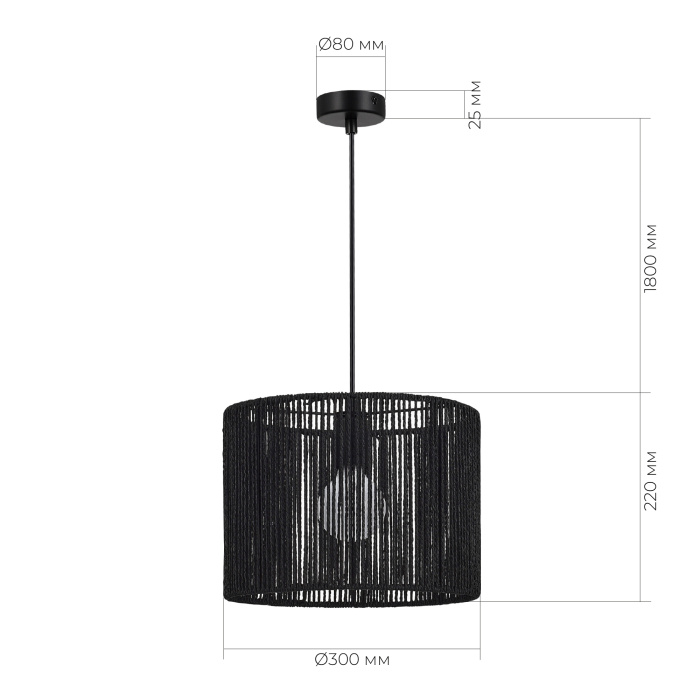 Светильник подвесной черный/черный E27 1*40W SLE6024-403-01