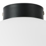 Плафон потолочный Globo Lightstar 812037