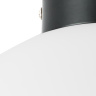 Плафон потолочный Globo Lightstar 812037