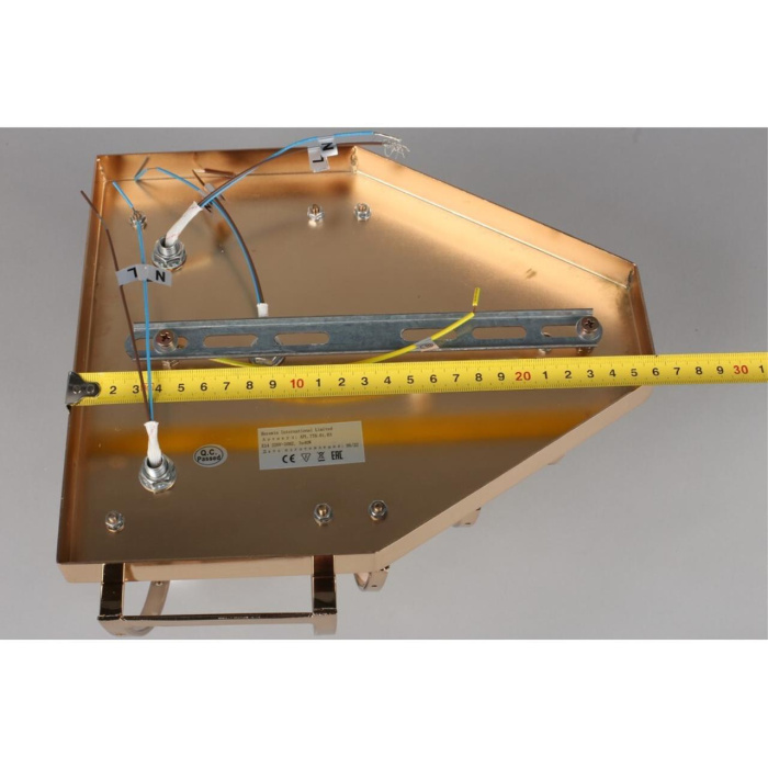 Светильник настенный Aployt Rozel APL.770.01.03