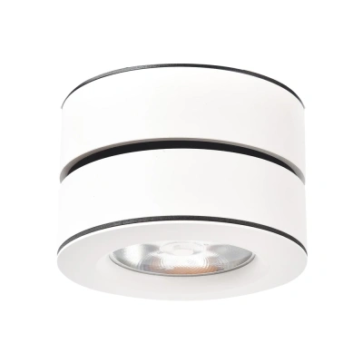 Накладной светильник Arte Lamp VELA A2511PL-1WH