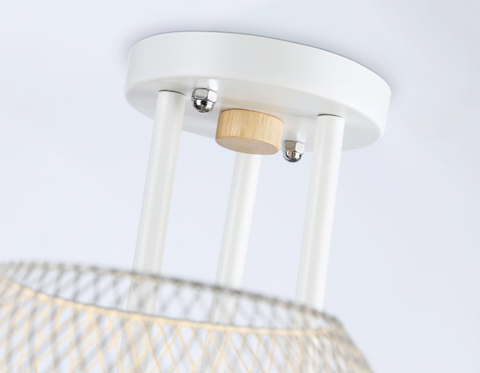 Потолочный светильник Ambrella light TR80163