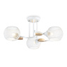 Потолочный светильник Ambrella light TR80163