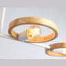 Потолочный светильник со сменной лампой Ambrella light TR8247
