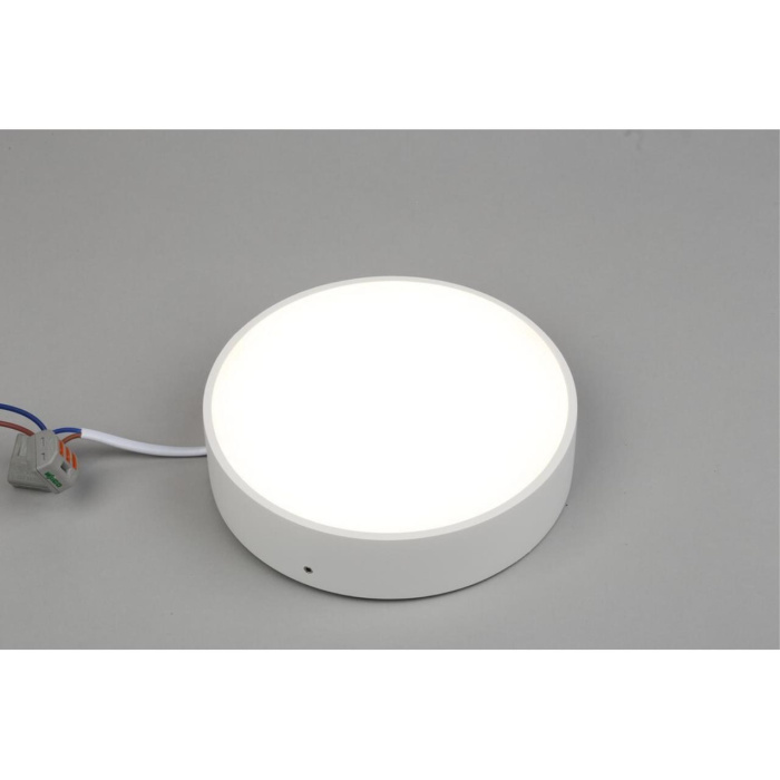 Светильник настенно-потолочный Aployt Evon APL.0114.09.18