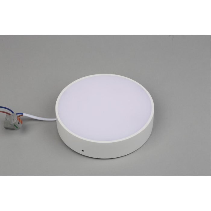 Светильник настенно-потолочный Aployt Evon APL.0114.09.18