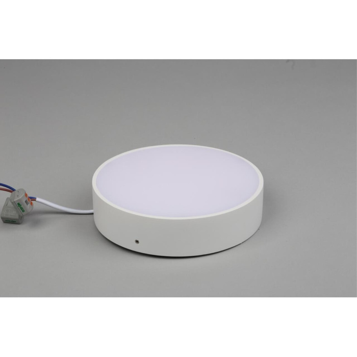 Светильник настенно-потолочный Aployt Evon APL.0114.09.18