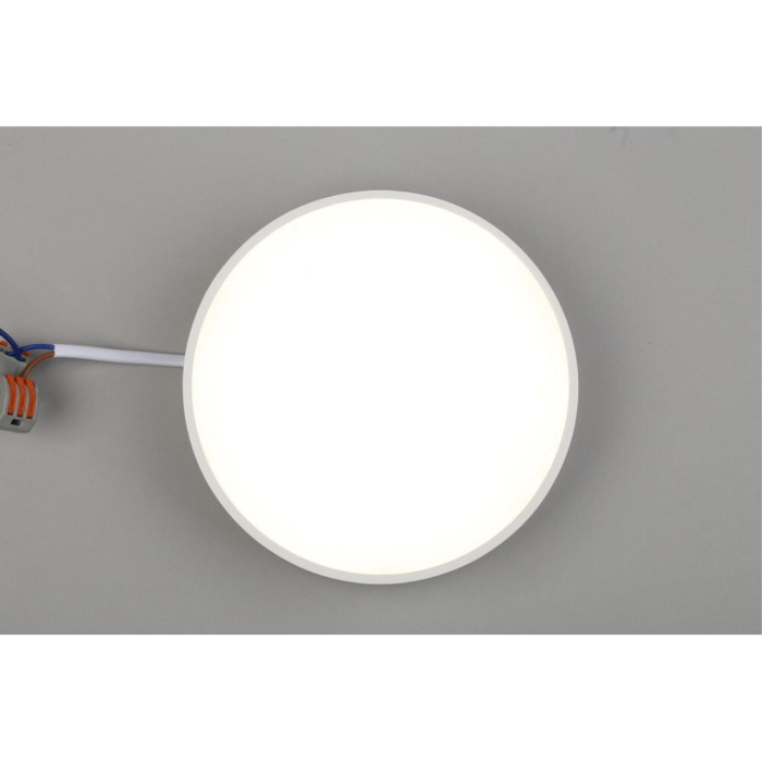 Светильник настенно-потолочный Aployt Evon APL.0114.09.18