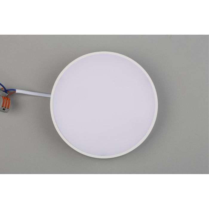 Светильник настенно-потолочный Aployt Evon APL.0114.09.18