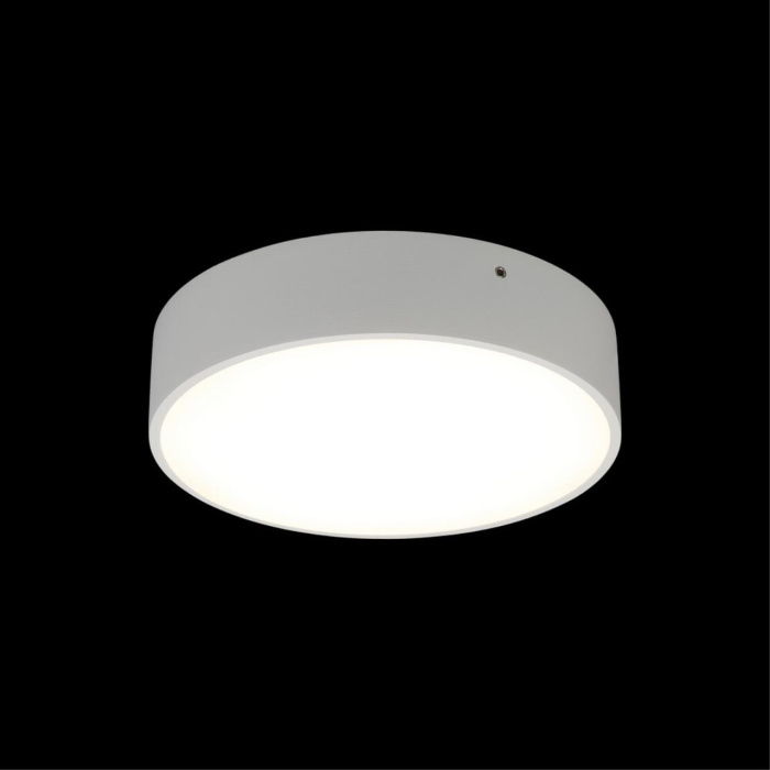 Светильник настенно-потолочный Aployt Evon APL.0114.09.18