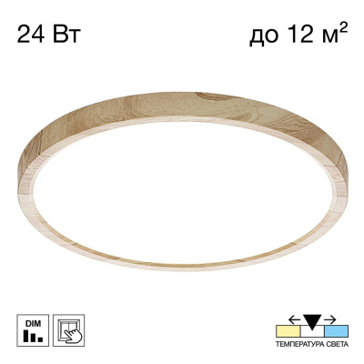 Светильник потолочный Citilux Бейсик CL738242V