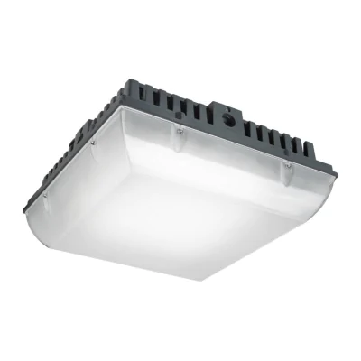 Уличный потолочный светильник Leds C4 PREMIUM 15-9839-05-CL