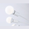 Потолочный светильник в стиле лофт Ambrella light TR80408