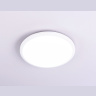 Потолочный светодиодный светильник Ambrella light FZ1230