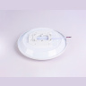 Потолочный светодиодный светильник Ambrella light FZ1230