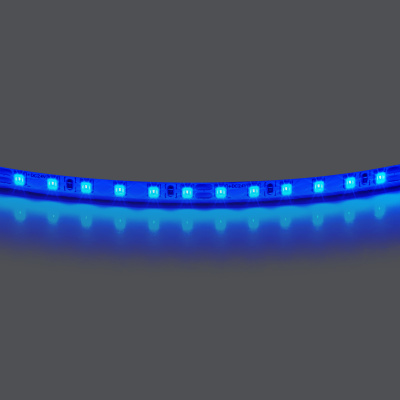 Лента цветного свечения 24V, синий 420515