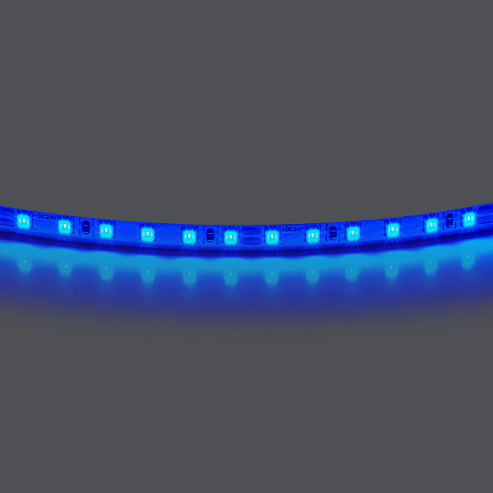 Лента цветного свечения 24V, синий 420515
