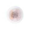Настенный светильник Arte Lamp AJOUR A1259AP-1PB