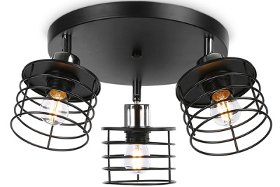 Настенно-потолочный спот в стиле лофт Ambrella light TR8092