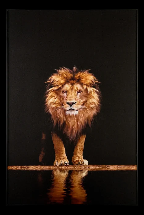 Картина Teona Decor Lion TD142