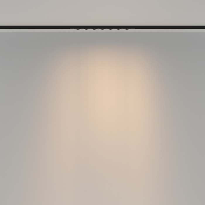 Трековый светильник Maytoni Spiky TR175-1-12WTW-M-B