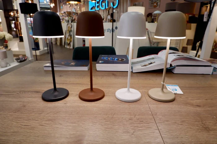 Настольная лампа EGLO MANNERA 900457