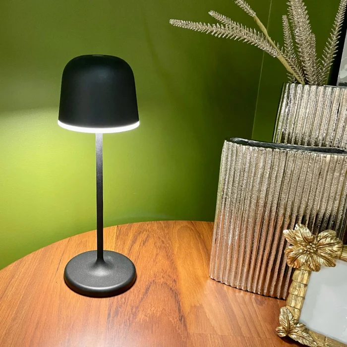 Настольная лампа EGLO MANNERA 900457