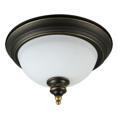 Светильник потолочный Arte Lamp BONITO A9518PL-2BA