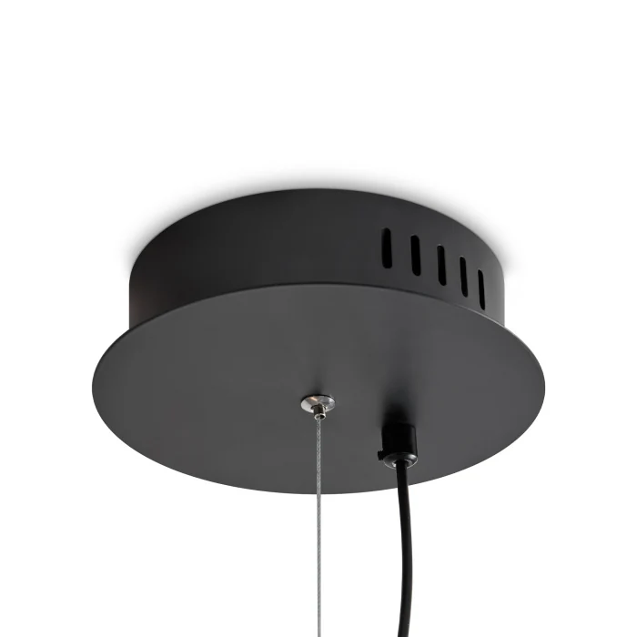 Подвесной светильник Freya Loyd FR5556PL-L22BBS