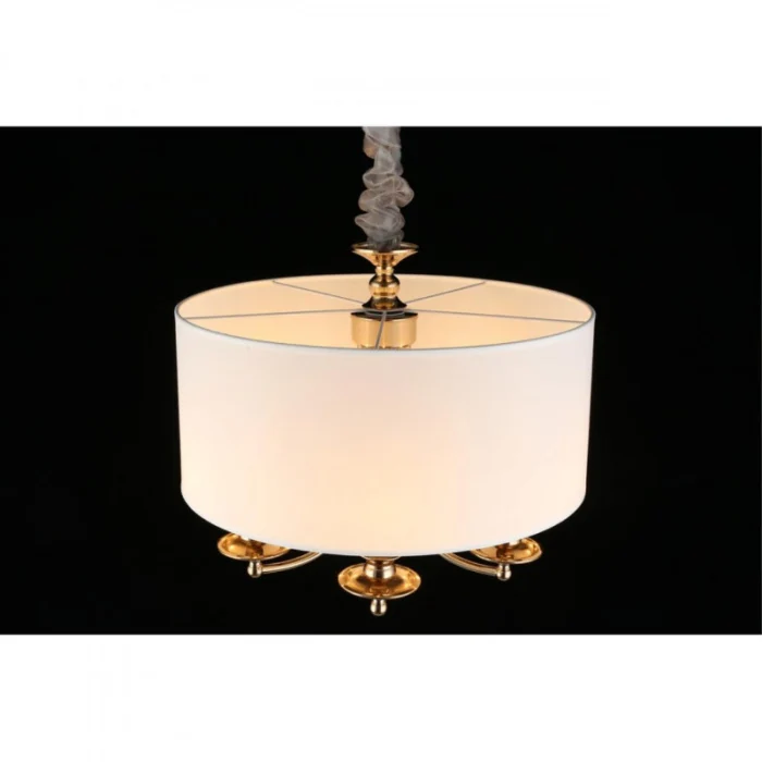 Светильник подвесной Aployt Berze APL.721.06.05