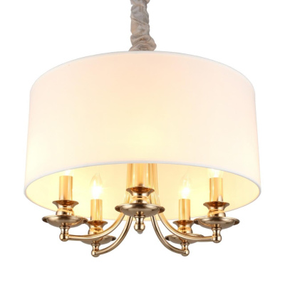 Светильник подвесной Aployt Berze APL.721.06.05