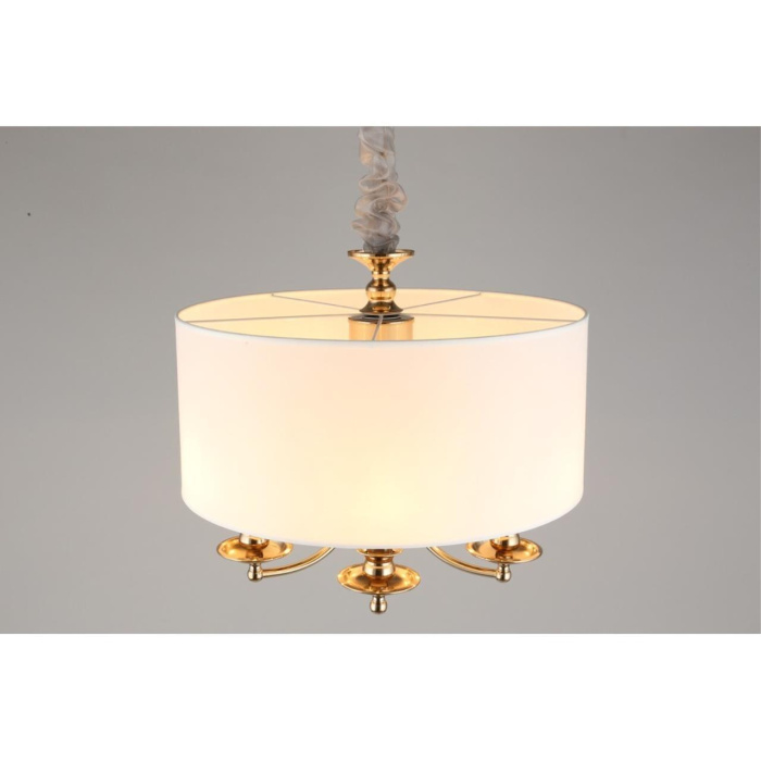 Светильник подвесной Aployt Berze APL.721.06.05