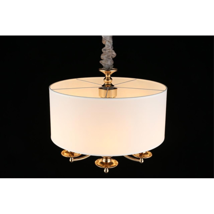 Светильник подвесной Aployt Berze APL.721.06.05