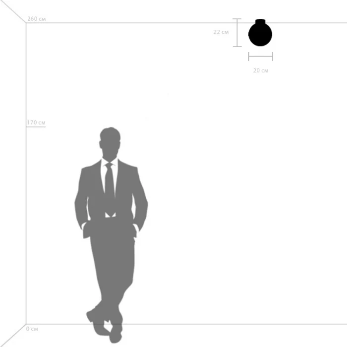 Плафон потолочный Globo Lightstar 812111