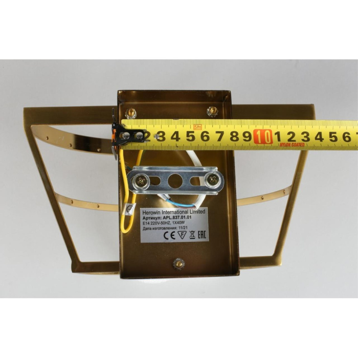 Светильник настенный Aployt Francheska APL.837.01.01