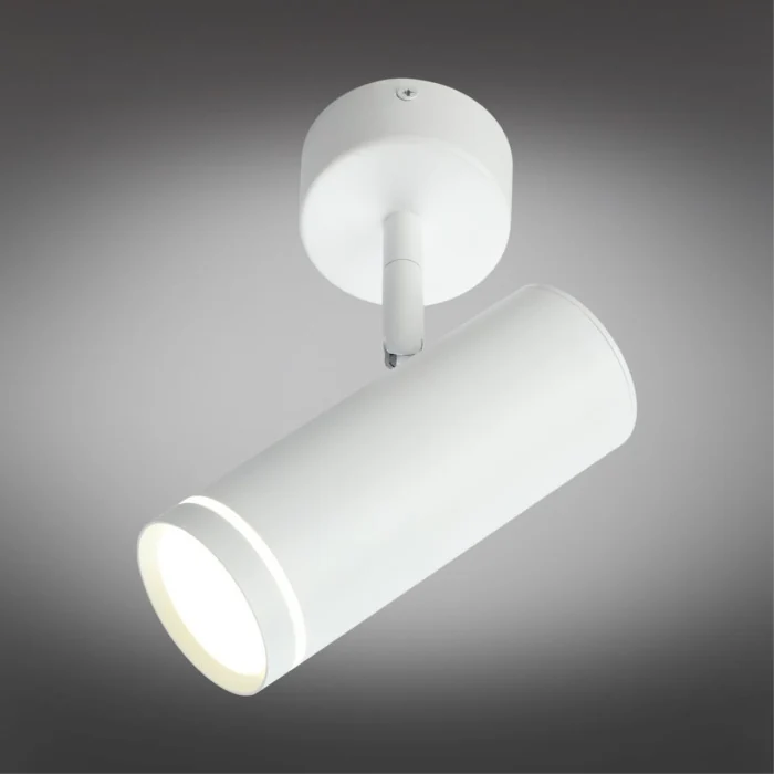Спот Omnilux Deruta OML-102219-12