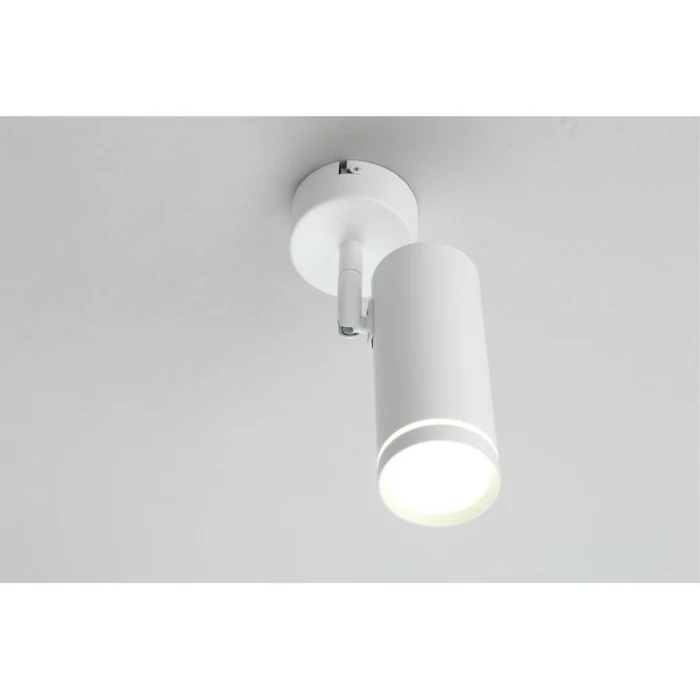 Спот Omnilux Deruta OML-102219-12