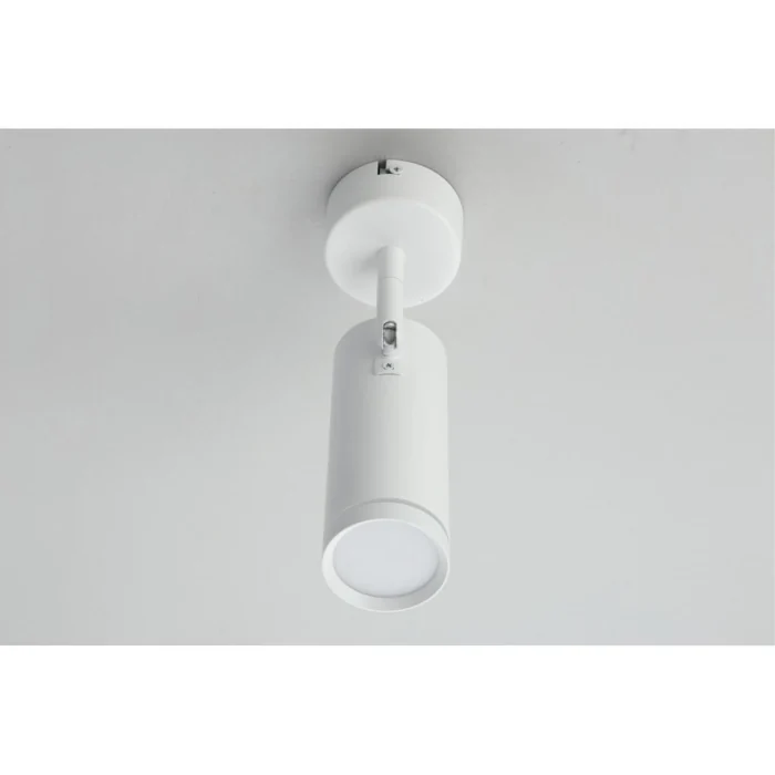 Спот Omnilux Deruta OML-102219-12