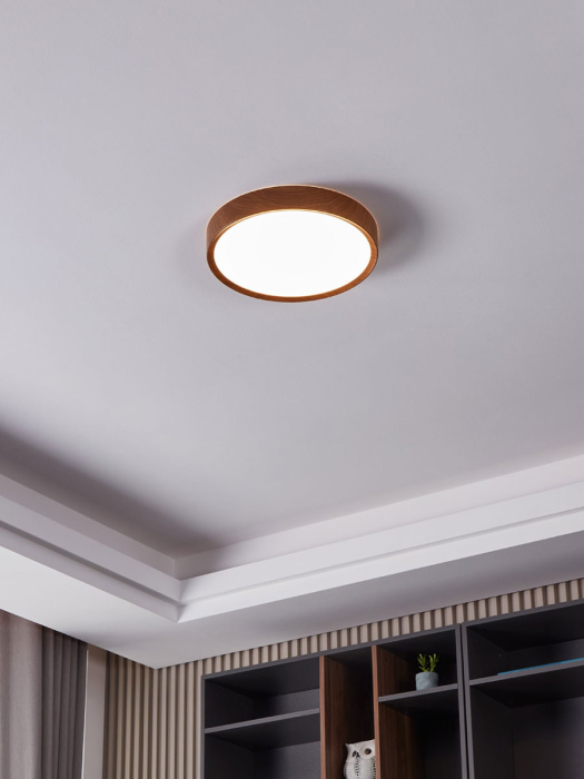 Светильник потолочный MUSURITA EGLO 98601