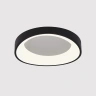 Потолочный светильник Arte Lamp SUALOCIN A2698PL-48BK