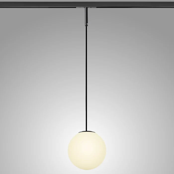 Трековый подвесной светильник Lightstar Linea 206837