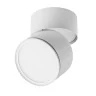 Накладной спот Lightstar Acuto 215886