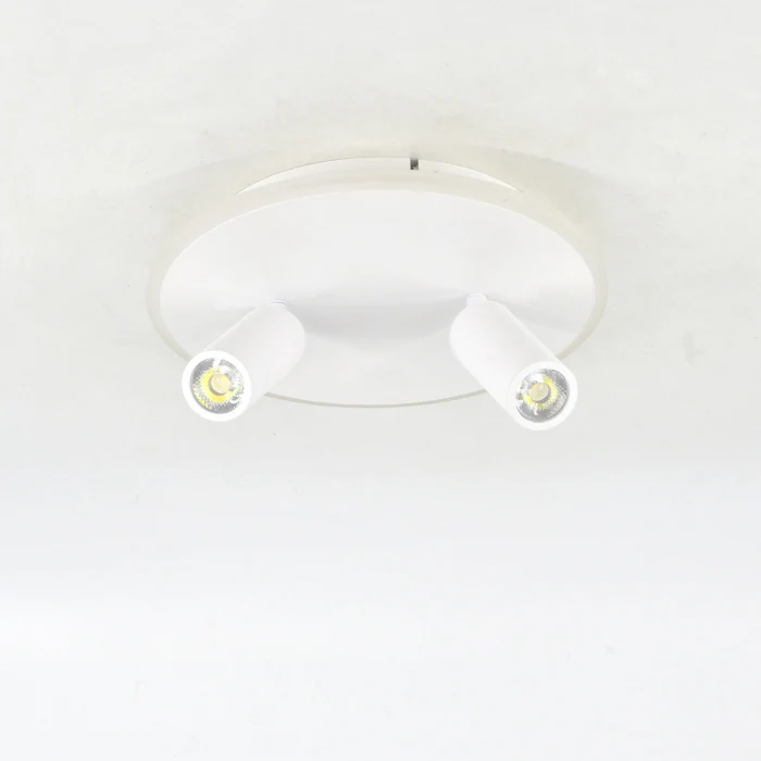 Настенно-потолочный светильник Escada 20046SMA/02LED WH