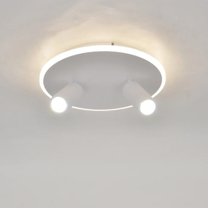 Настенно-потолочный светильник Escada 20046SMA/02LED WH