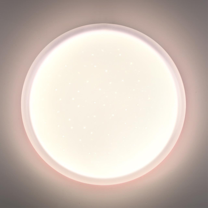 Настенно-потолочный светильник СОНЕКС PALE 7774/ELN